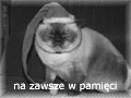 Zawsze w pami�ci