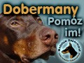 Nadzieja Dobermana