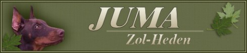 JUMA Zol-Heden